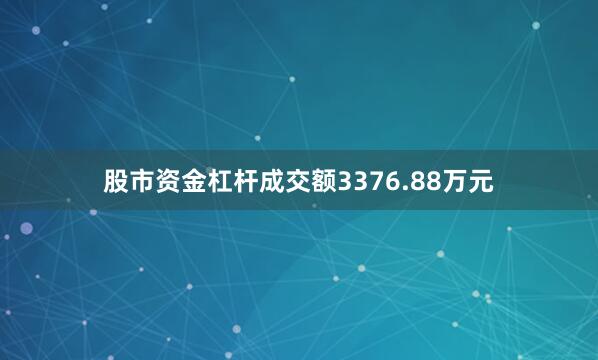 股市资金杠杆成交额3376.88万元