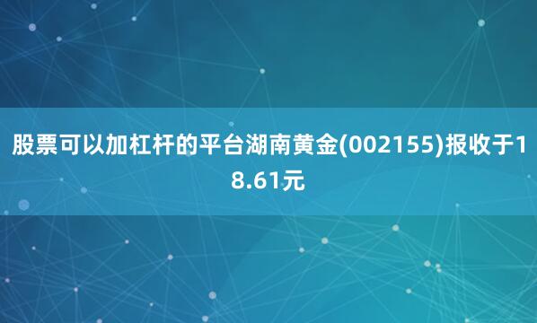 股票可以加杠杆的平台湖南黄金(002155)报收于18.61元